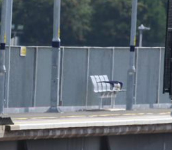 East Linton Station Construction - 2023-07-23